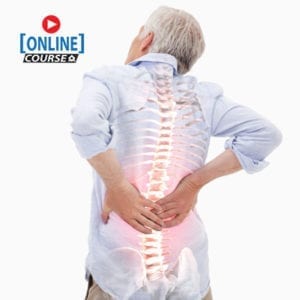 Spine Pain Online Bundle