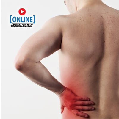 Differential diagnosis of the hip pain Online website copy