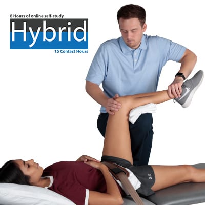 Hybrid Hip