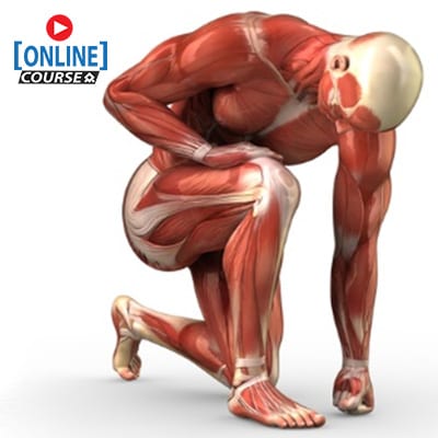 Ischemia reperfusion injury Online website copy