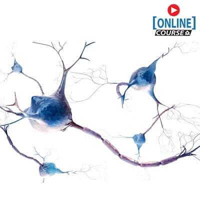 Neural Mobilization concepts Online website copy