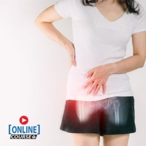 Pelvic Health Online Bundle