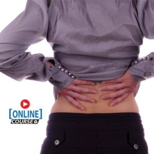 Lumbar Spine Online Bundle