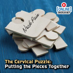The Cervical Puzzle: Putting the Pieces Together