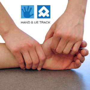 Systematic Evaluation and Treatment of the Hand – Charleston SC – Jun 2025