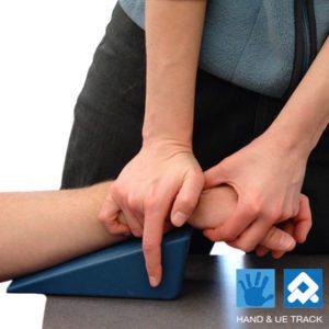 Systematic Evaluation and Treatment of the Wrist II – Charleston SC – AUG 2025